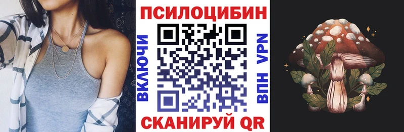 Псилоцибиновые грибы мицелий  МЕГА зеркало  Таштагол 